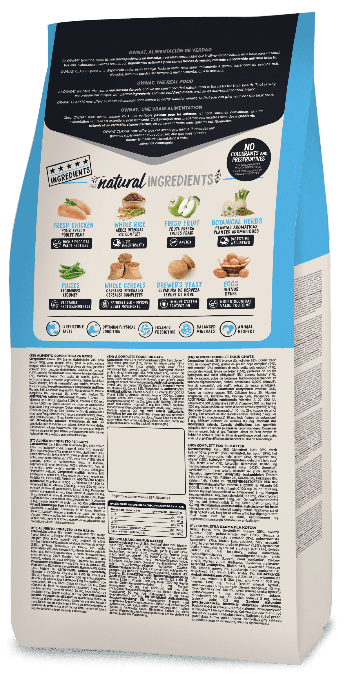 3D_CLASSICGF_KITTEN_BACK_16.01-G