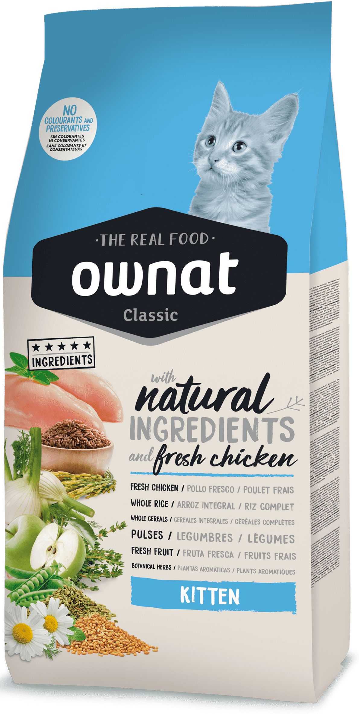 3D_CLASSICGF_KITTEN_BACK_16.01-G_