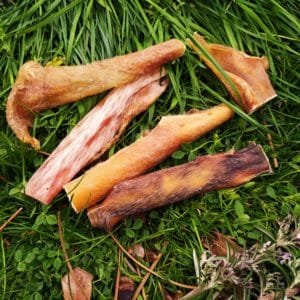 IMG_20200405_174145-300x300-1