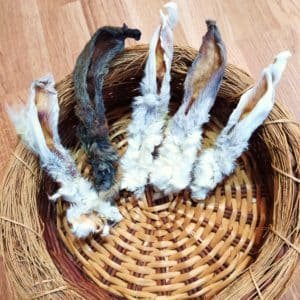 IMG_20200408_145227-300x300