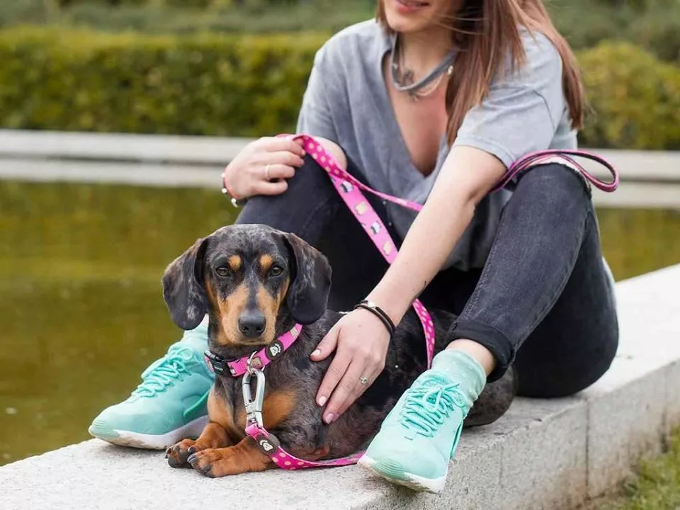 66830431_2741306375897430_1032895924805828608_n