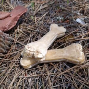 IMG_20200531_125319-300x300