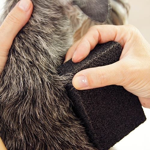 picture_23992_original