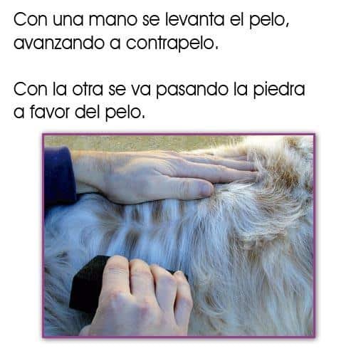 picture_8894_original