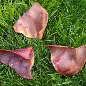 IMG_20200918_232135-300x300