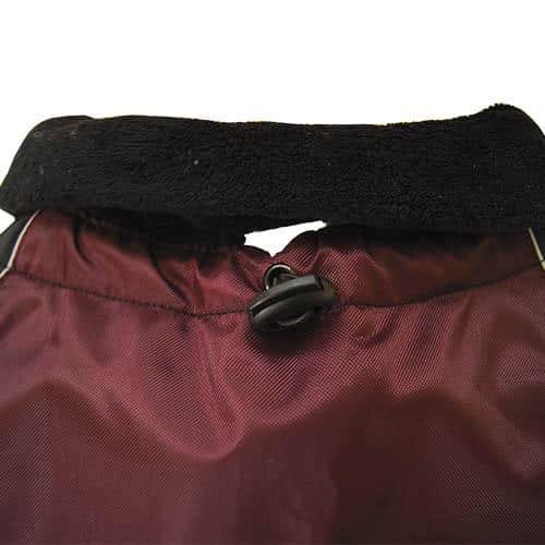 picture_21690_original