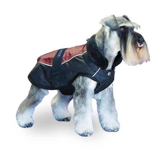 picture_21719_original