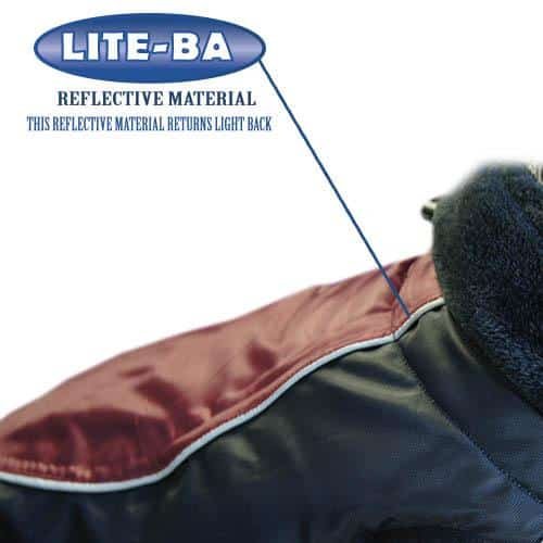 picture_21993_original