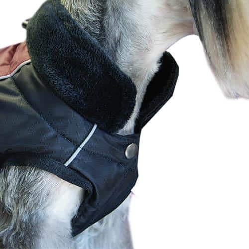 picture_22000_original