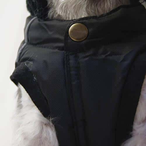 picture_22001_original