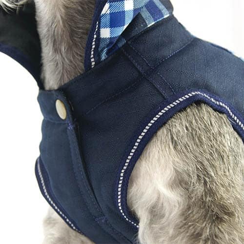 picture_31380_original