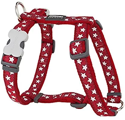 51sa6ykm3TL._AC_SY400_