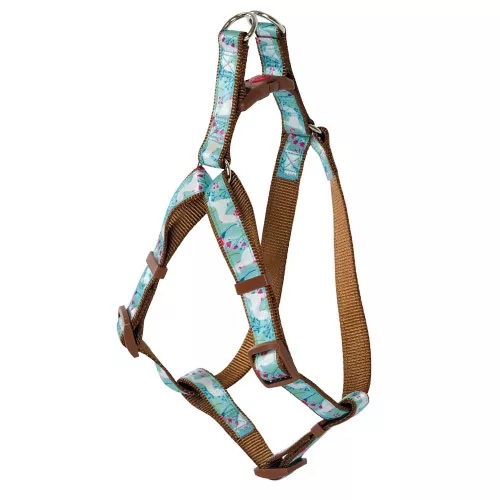 picture_34623_original