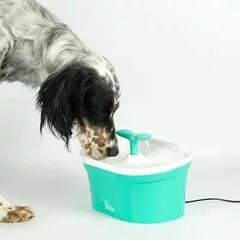 picture_33630_240x240