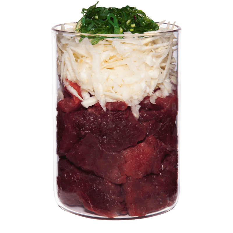 TC_Hypo_Insight_Kaenguru_Web_800x800