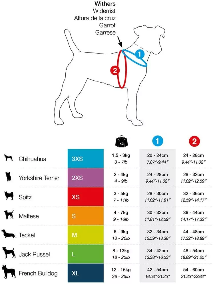 61LOlQsYYlL._AC_SL1000_