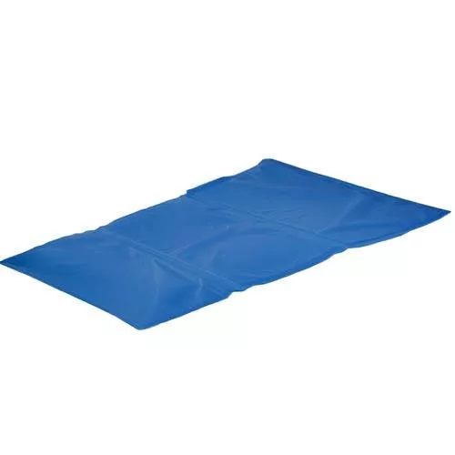 44702B6F-47B7-4C64-BAF0-0E3C2EB89850