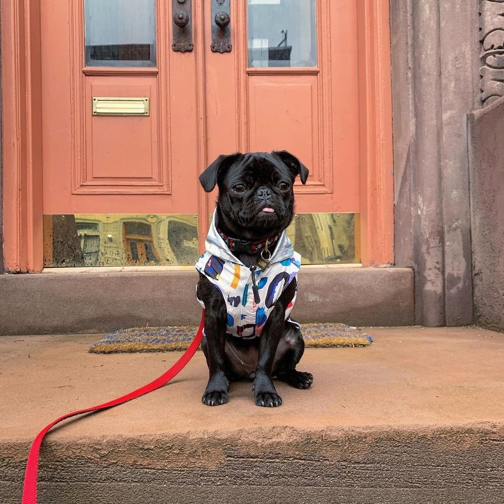 89697_17907386374686129_high