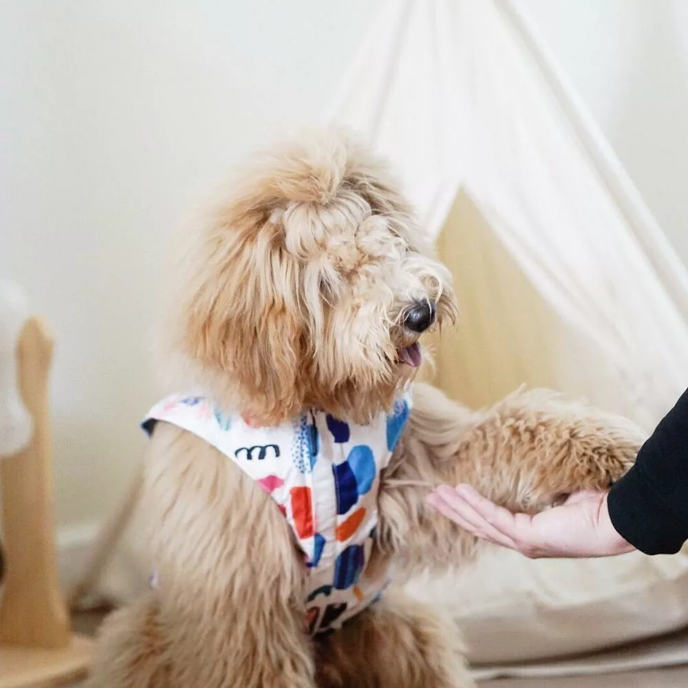 89697_17907809377445745_high