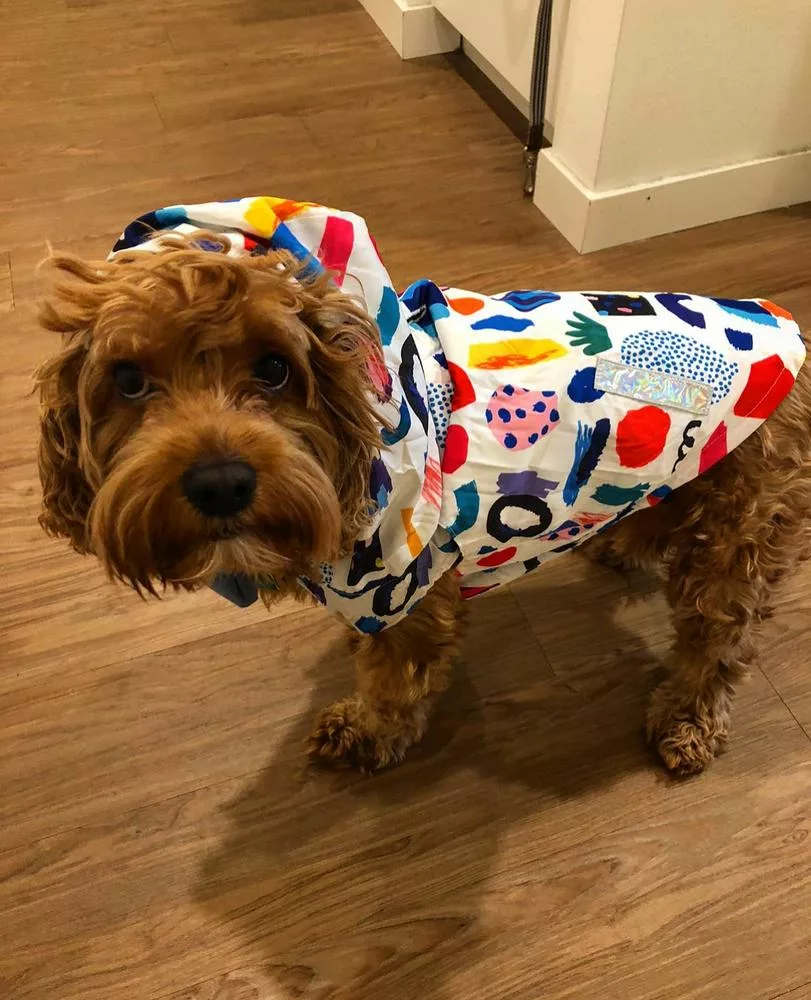 89697_18066465925259724_high