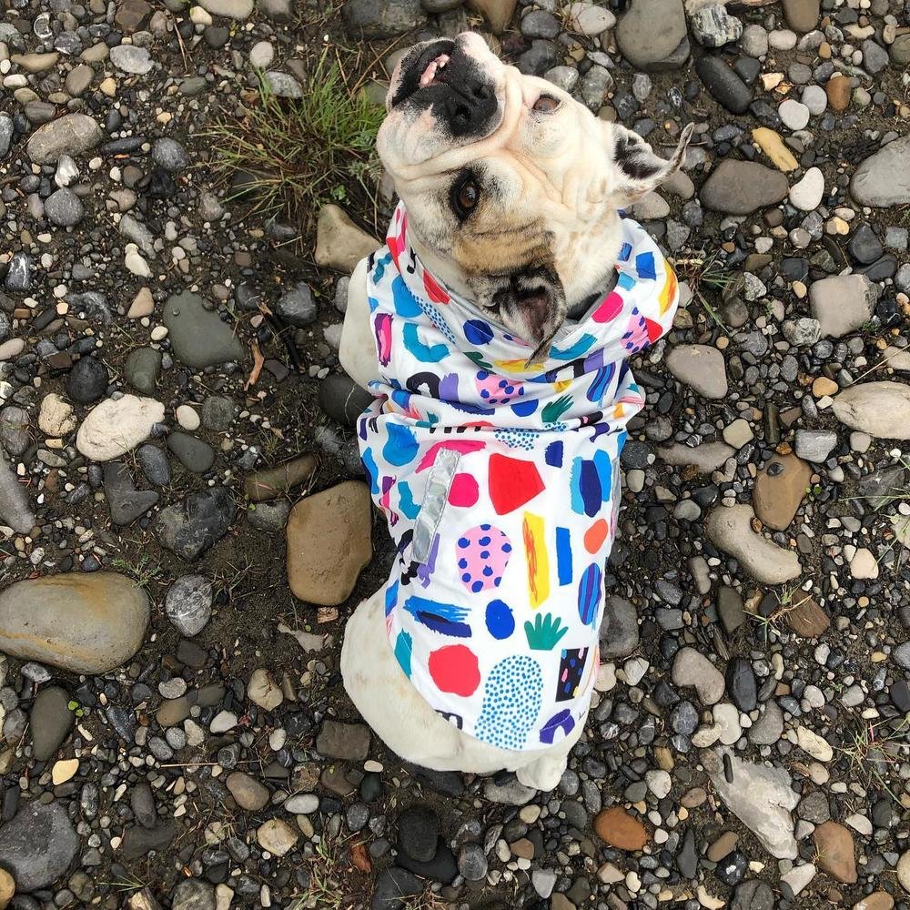 89697_18090849484170286_high