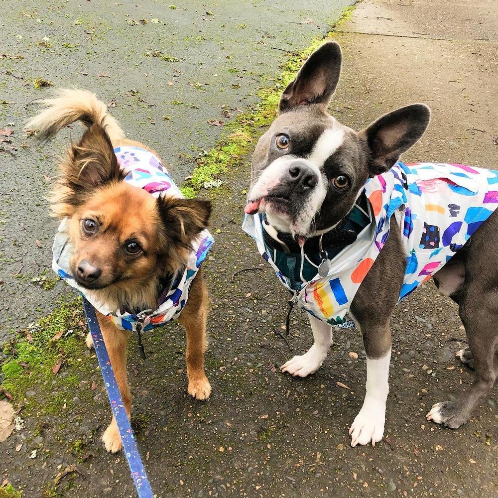 89697_18194126308001919_high