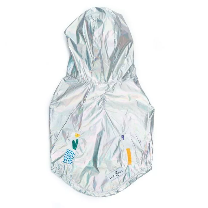 DSC02634-406761_720x