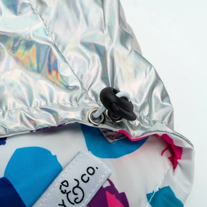 DSC02663-716760_720x