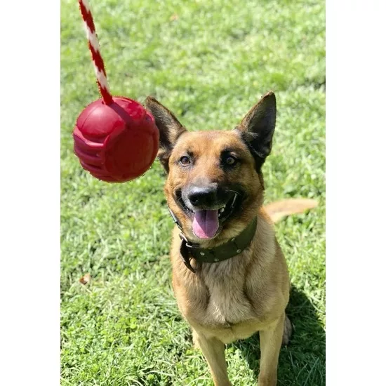 25dfe4bcee098976bccdb350e55700e5ac7b1f295976a7407414d3cdba044259