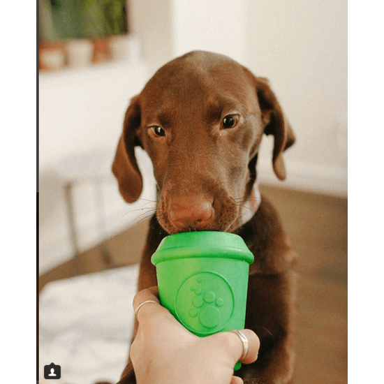 42b286e83a09a045dd3f1109859e107ec7fc88a13ce478fb58df28b11a2b6621