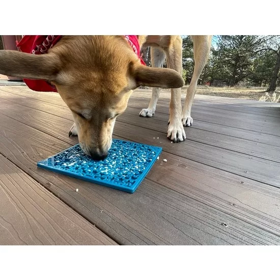 789105fc083f1e8e4b2e54cf2fbd57729eaa80d1f09e268ef645d47c885b0405