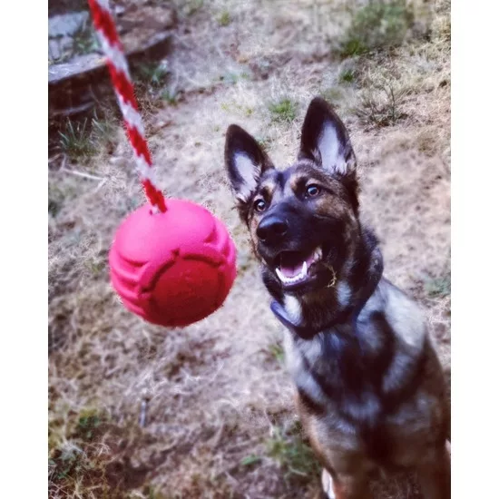 9a7128e717fd22b2bfc37f8322efd25f858363a8749eccc7affad76bc5a6ea55