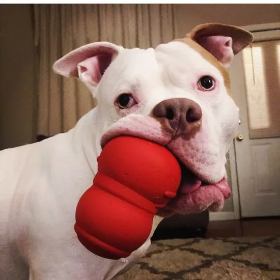 e5ac2926f2aac5dac6d543f904556c4996a0cc0d4676359d568b500cd46cde37