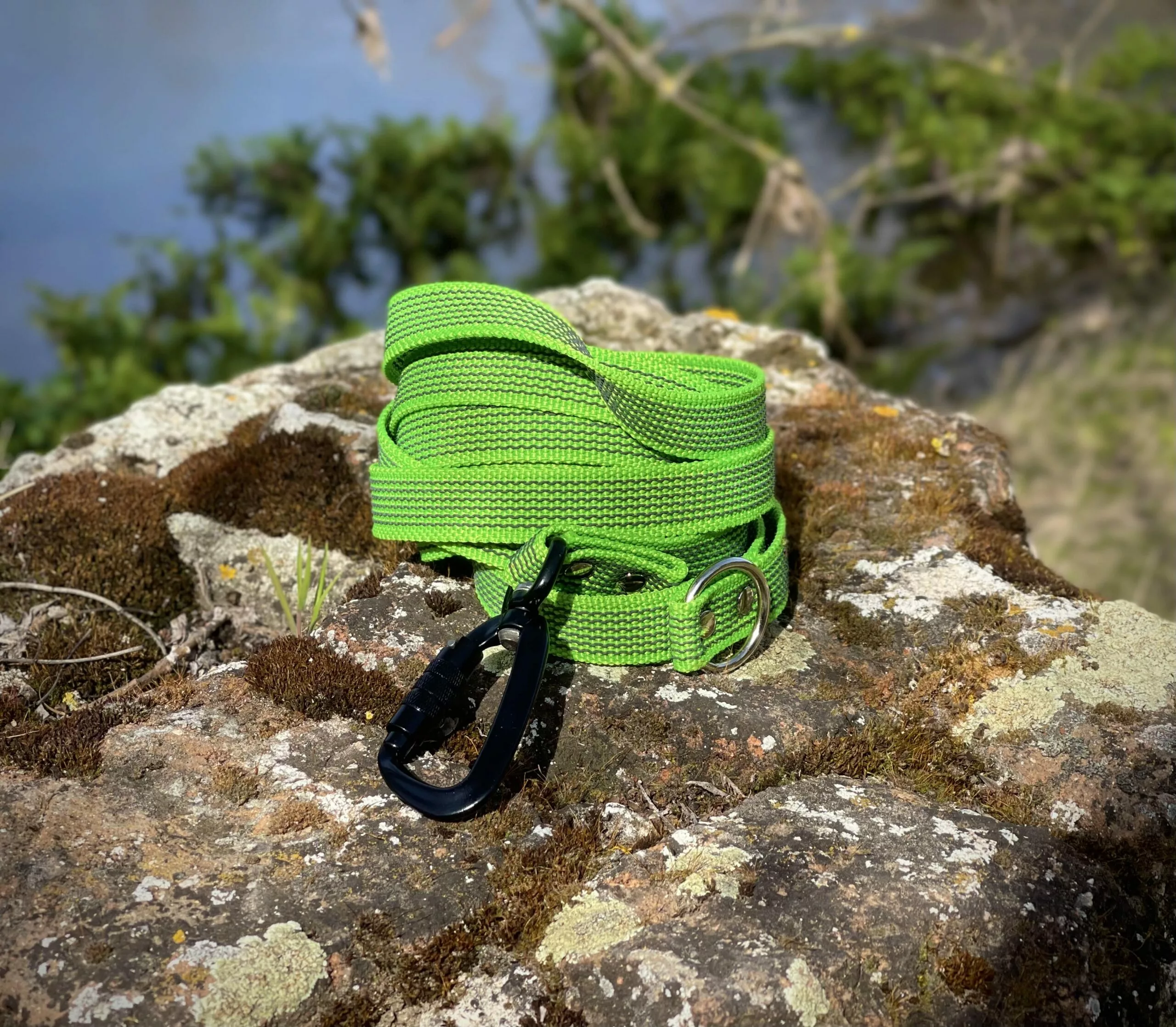 3E107DD9-8AB2-46A4-A11C-3CBE87346464