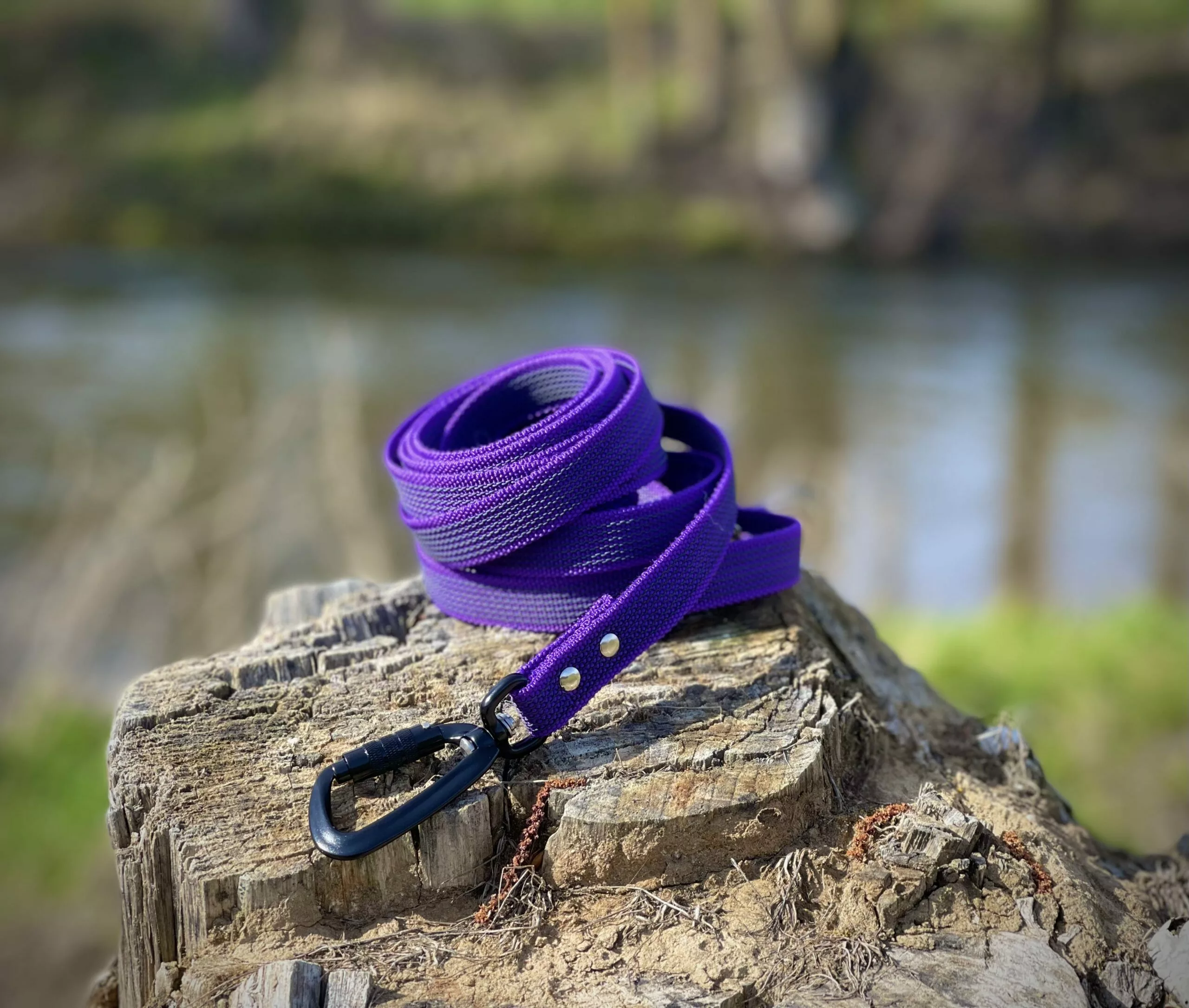 B1EC1419-B75B-443F-8F42-33BF56846FAB