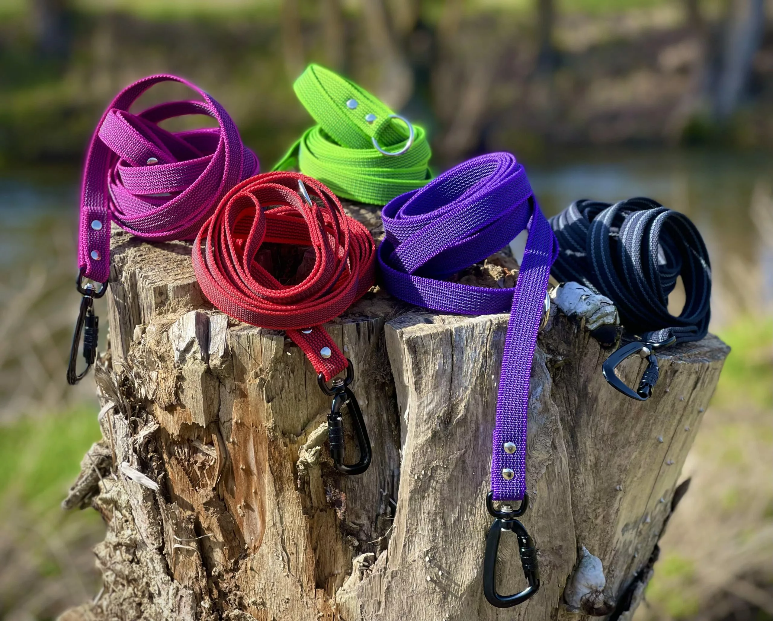 F00E466C-4012-4ECF-8DDC-0D9DB6B68D42