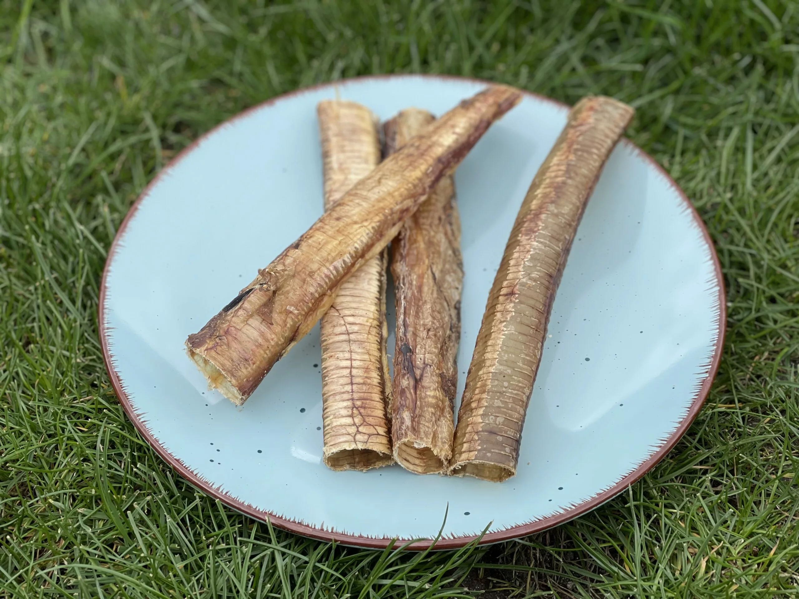 0445606B-83D3-4EEE-9D58-BE22AE3B3468