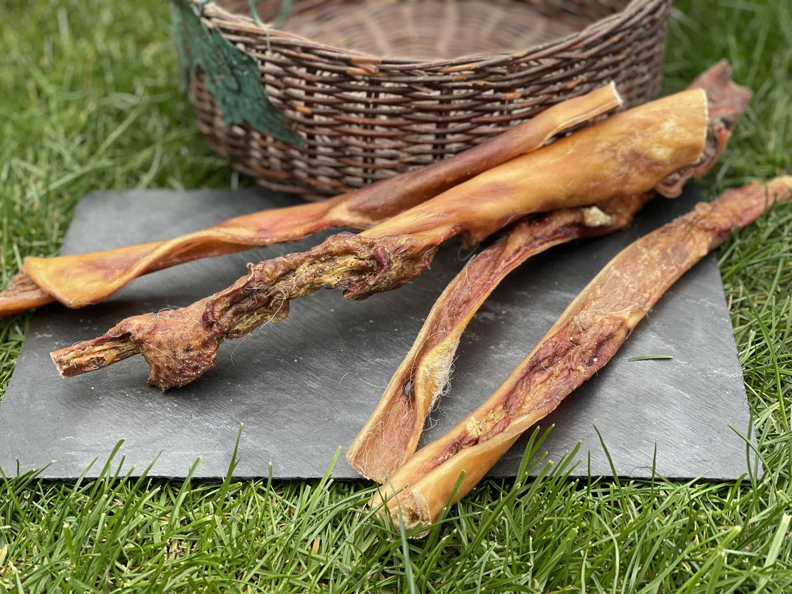 107C79DC-2BC4-41B8-9697-E0D47FBD6FE0