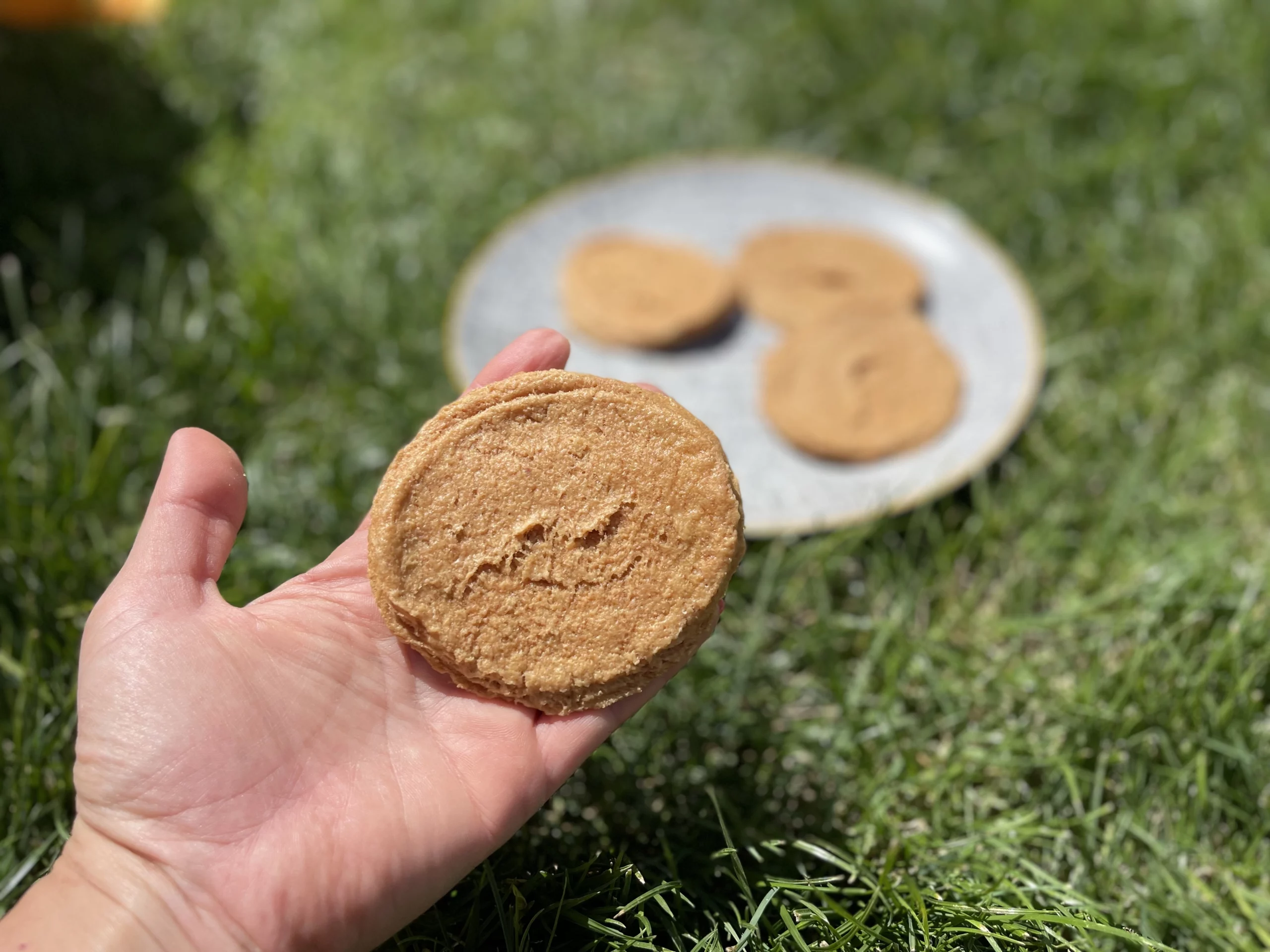 6101E4D4-A273-4F2A-95E3-8786D0DAF27E