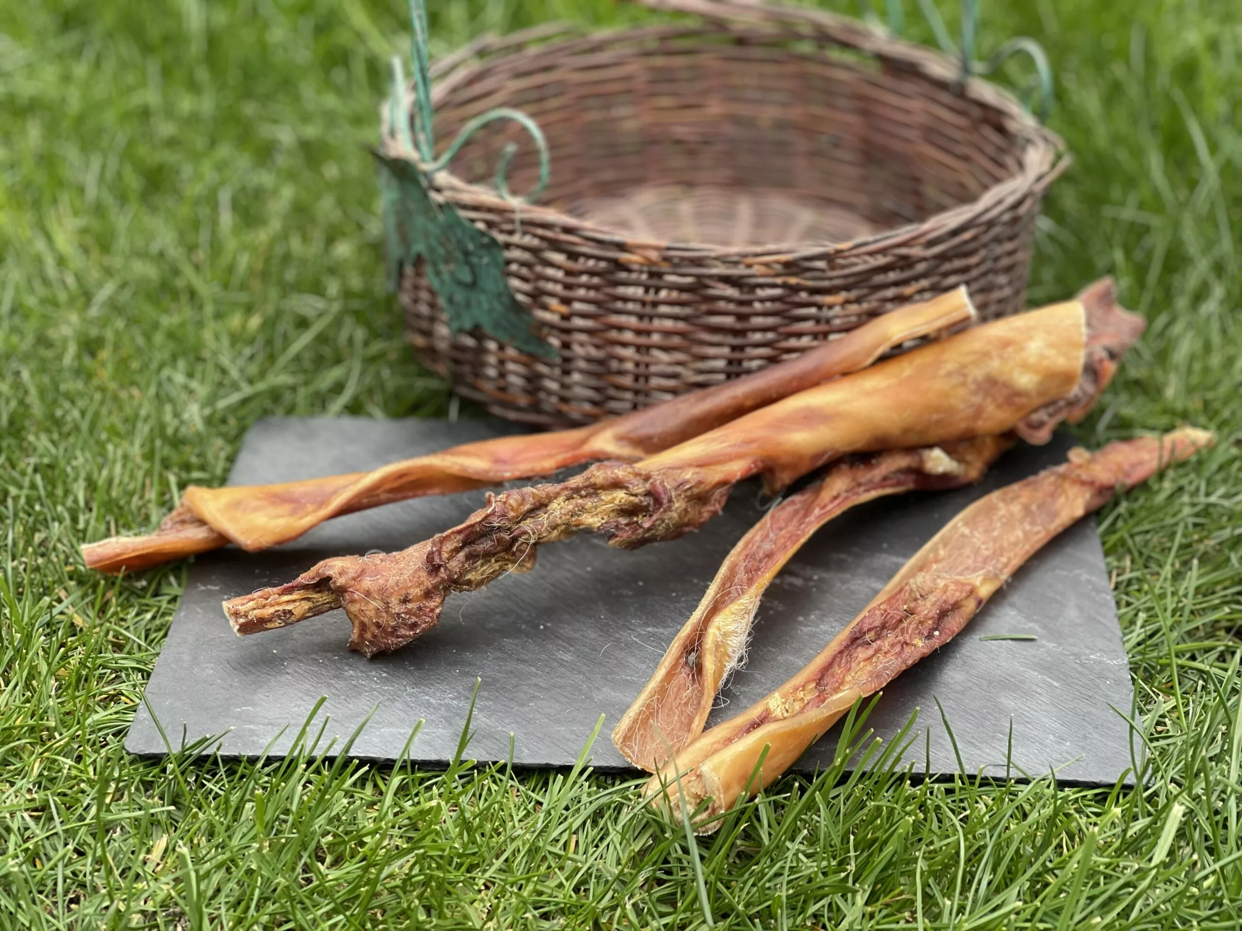 7A5A66FA-C4AF-431E-85E7-AA9D839CA922