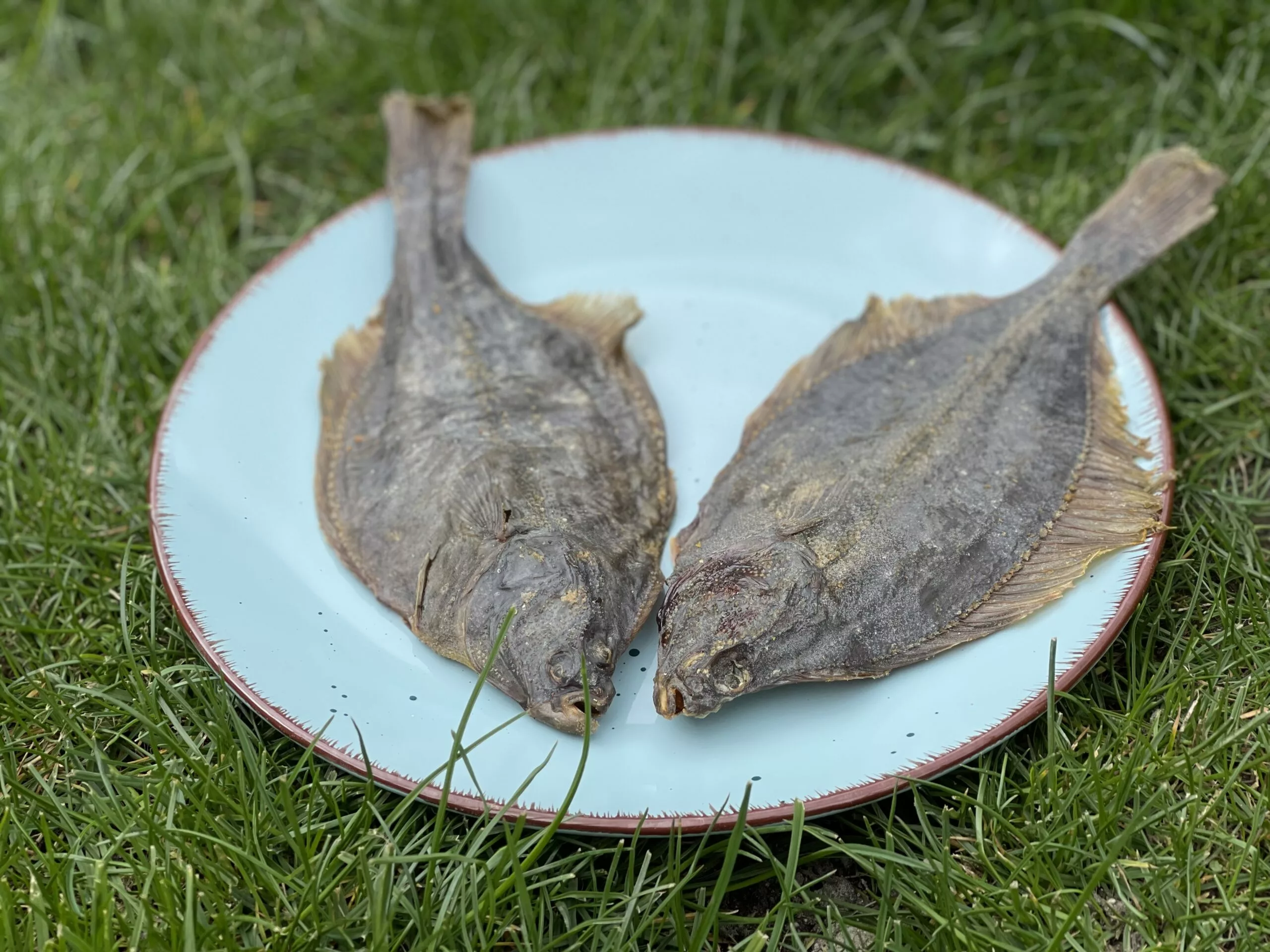 9980CCC9-BEAD-42ED-8156-856605CBBB95