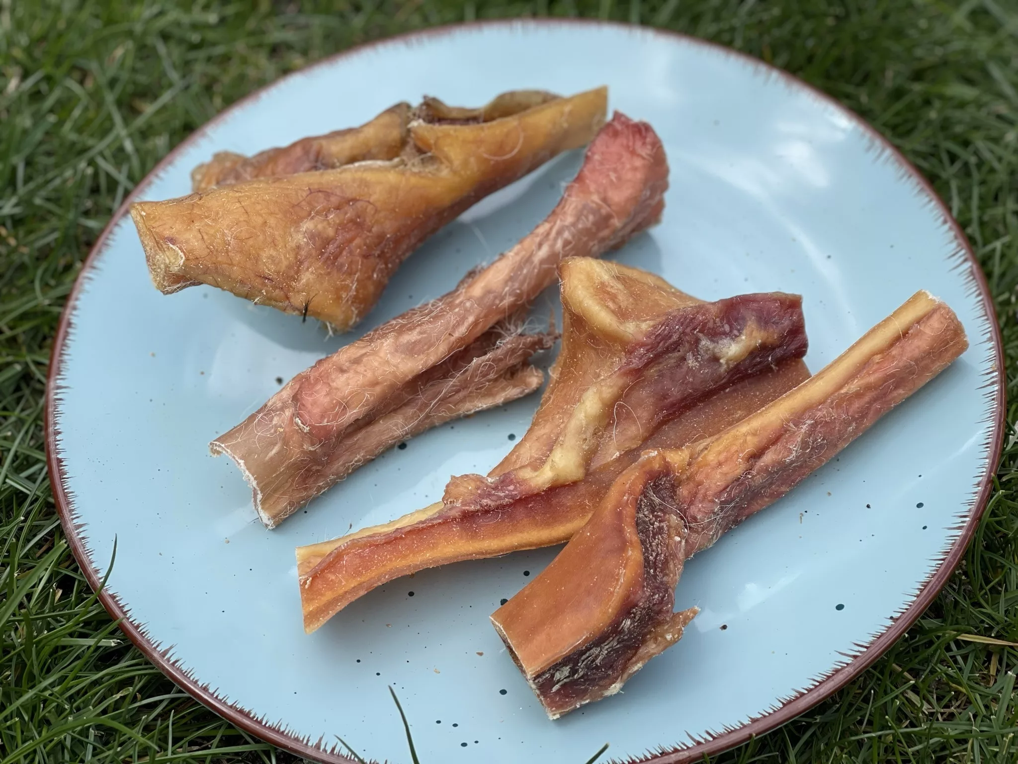 BC3192C5-1218-4C1F-9C85-37A1AC836208