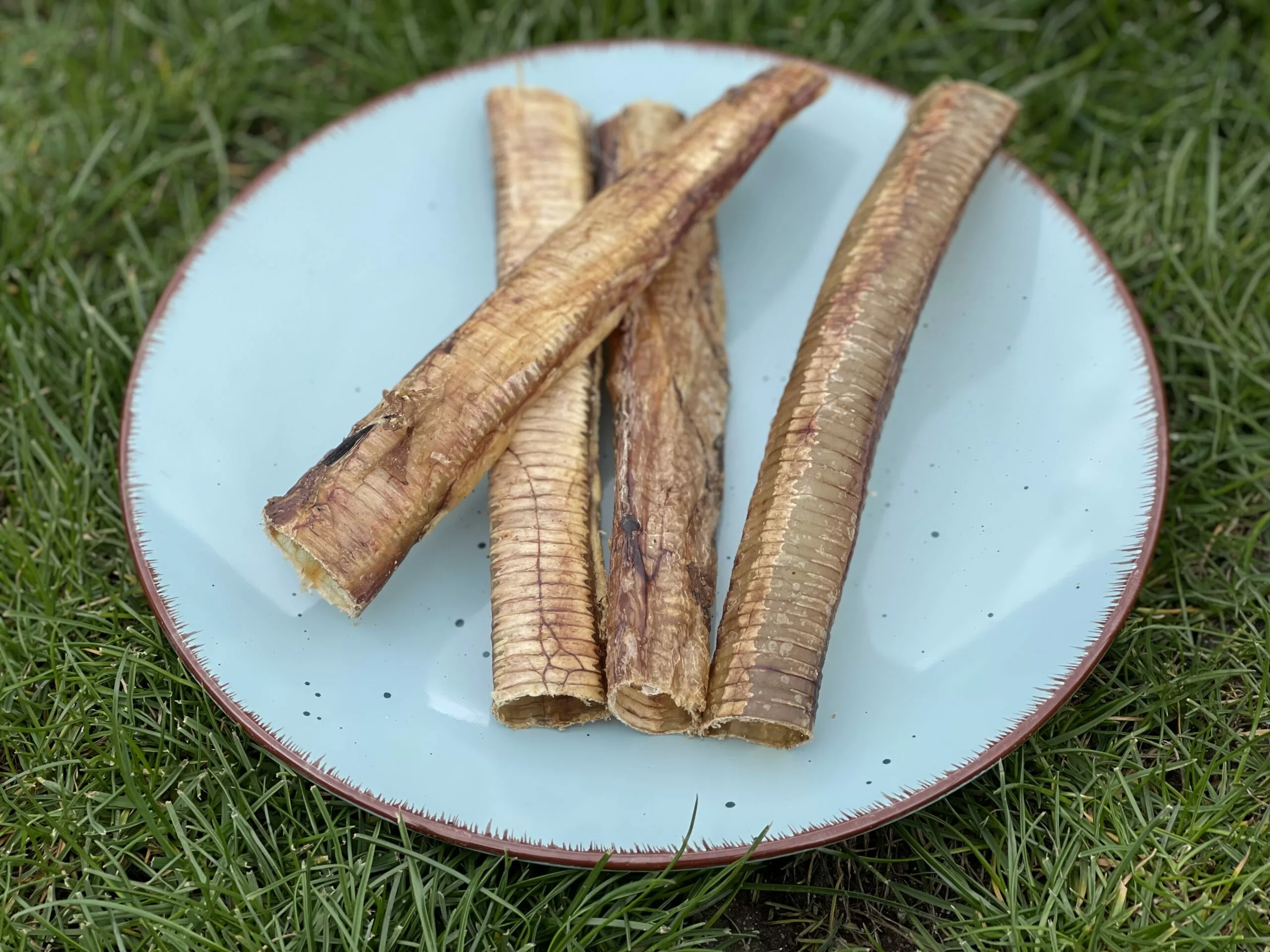 C4DFE682-0128-4175-80B6-BF5EEFCDA0BD