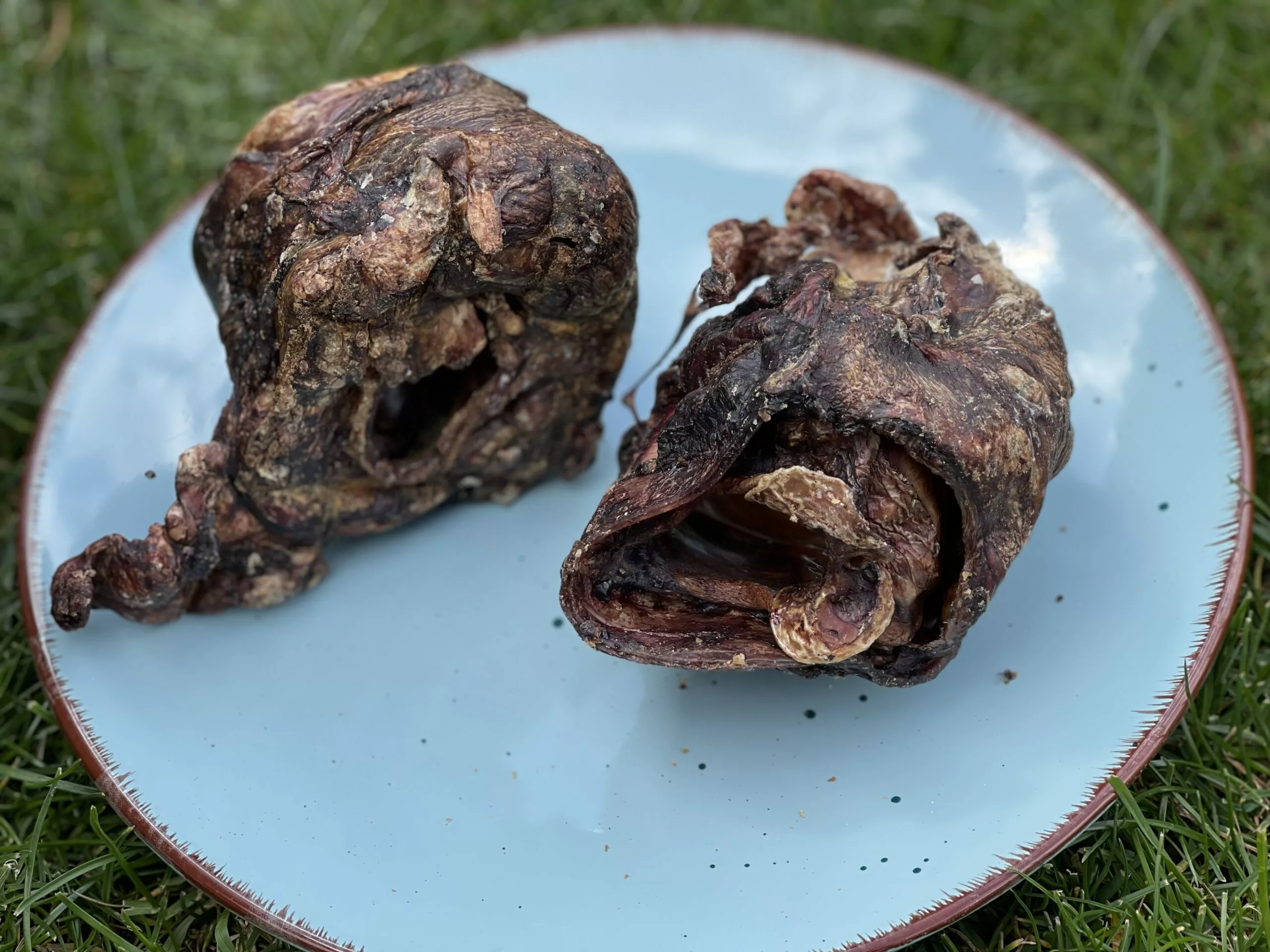 DCCD6D9A-53DE-4191-83E6-9B219E0A3FBA