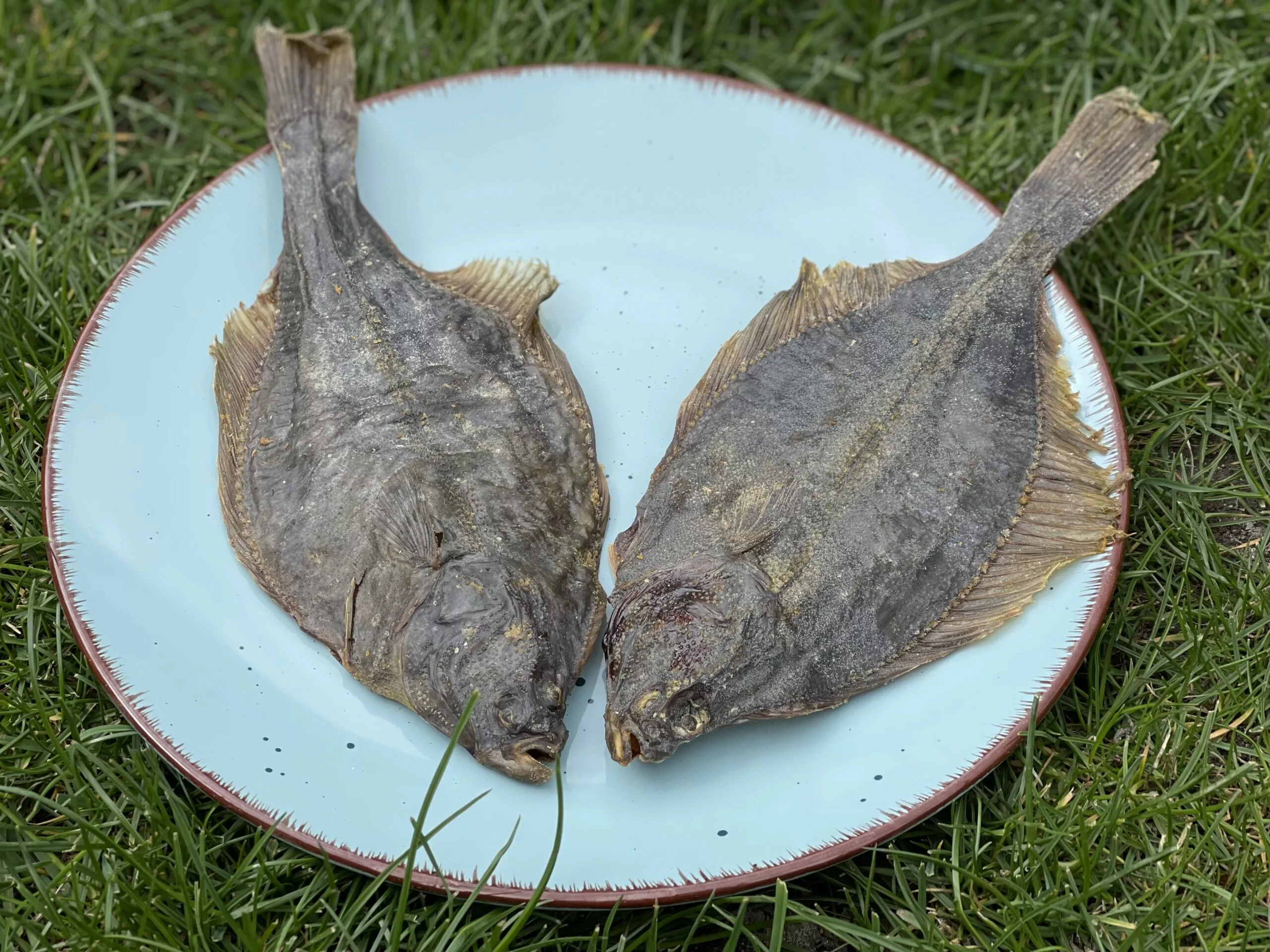 F58D0E46-A23C-4178-8E60-22DD2F4F1773