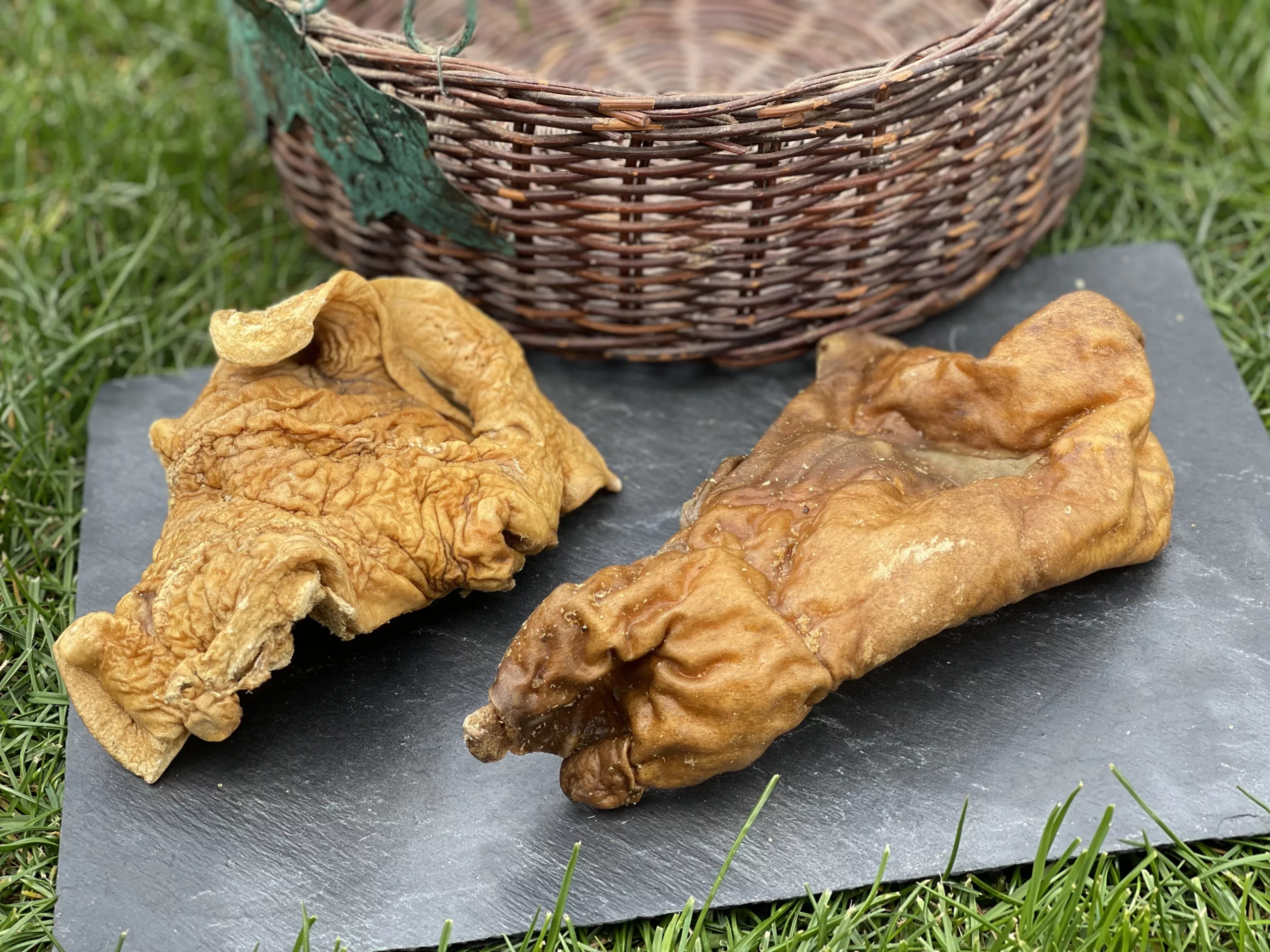 FE2EDCCF-3149-407E-8CFA-E852348D0DF9