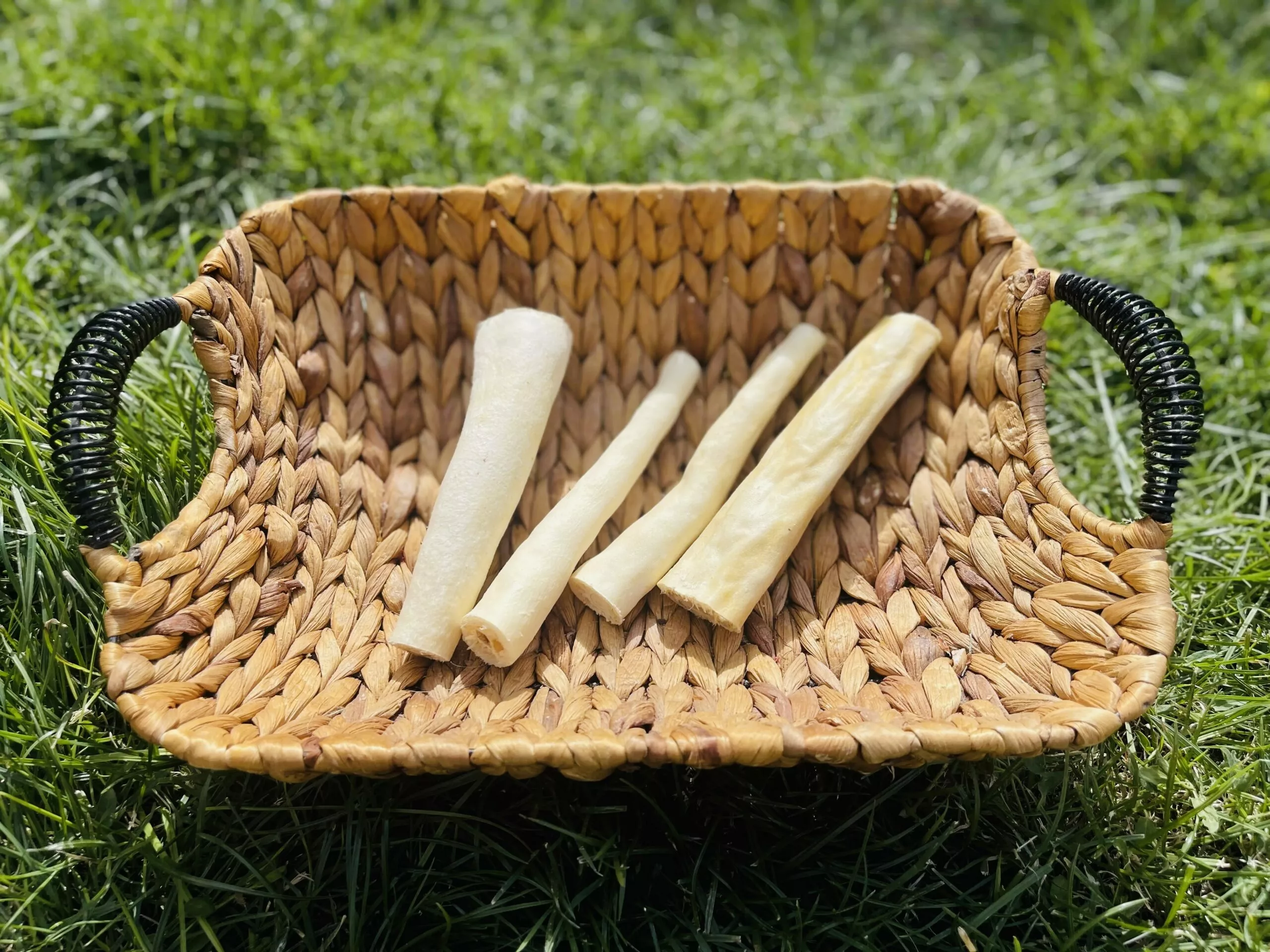 257CDDC4-0B4B-425C-B6CF-15FA33EC9EBF