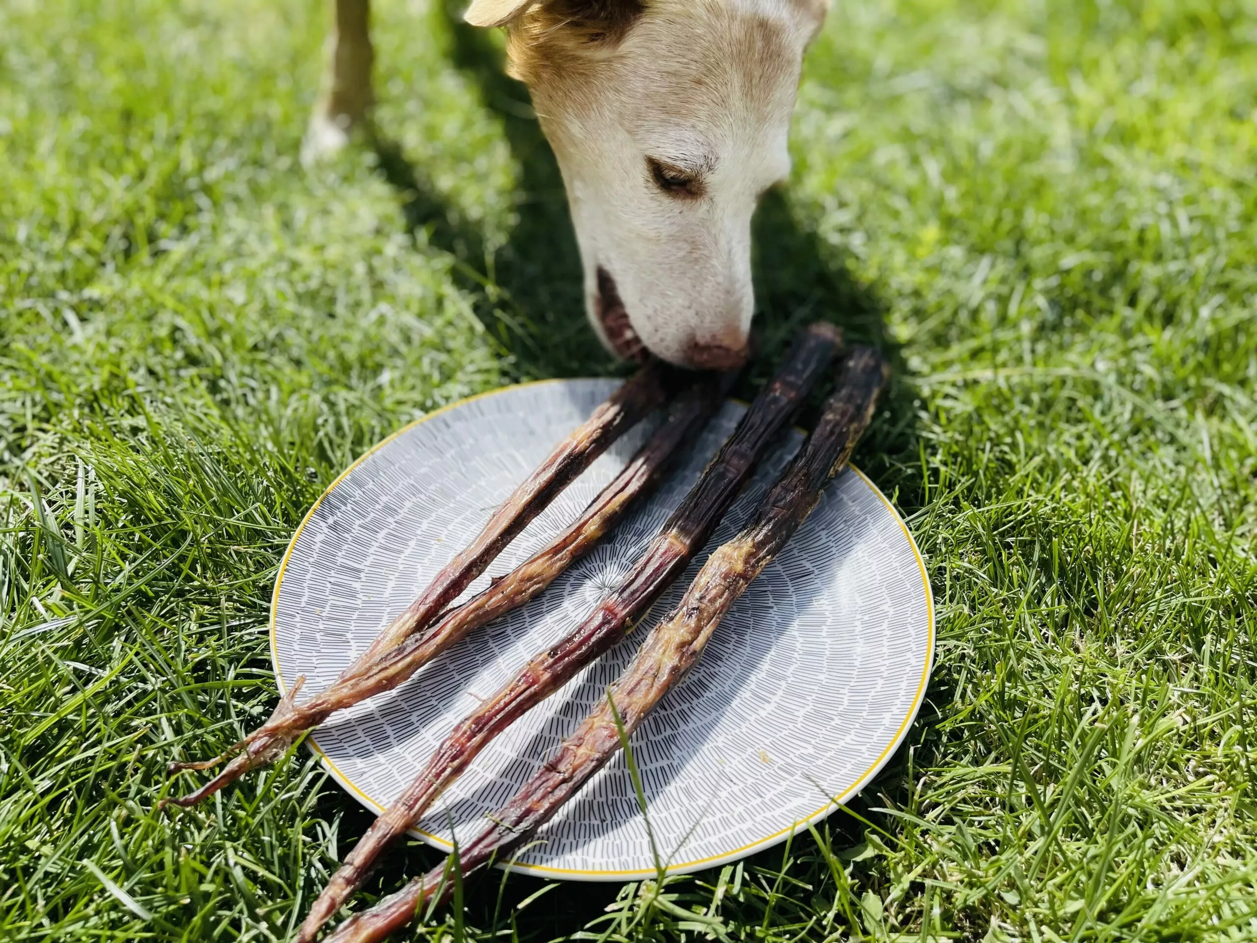 480FD795-E168-400F-989B-774FAE3729A3