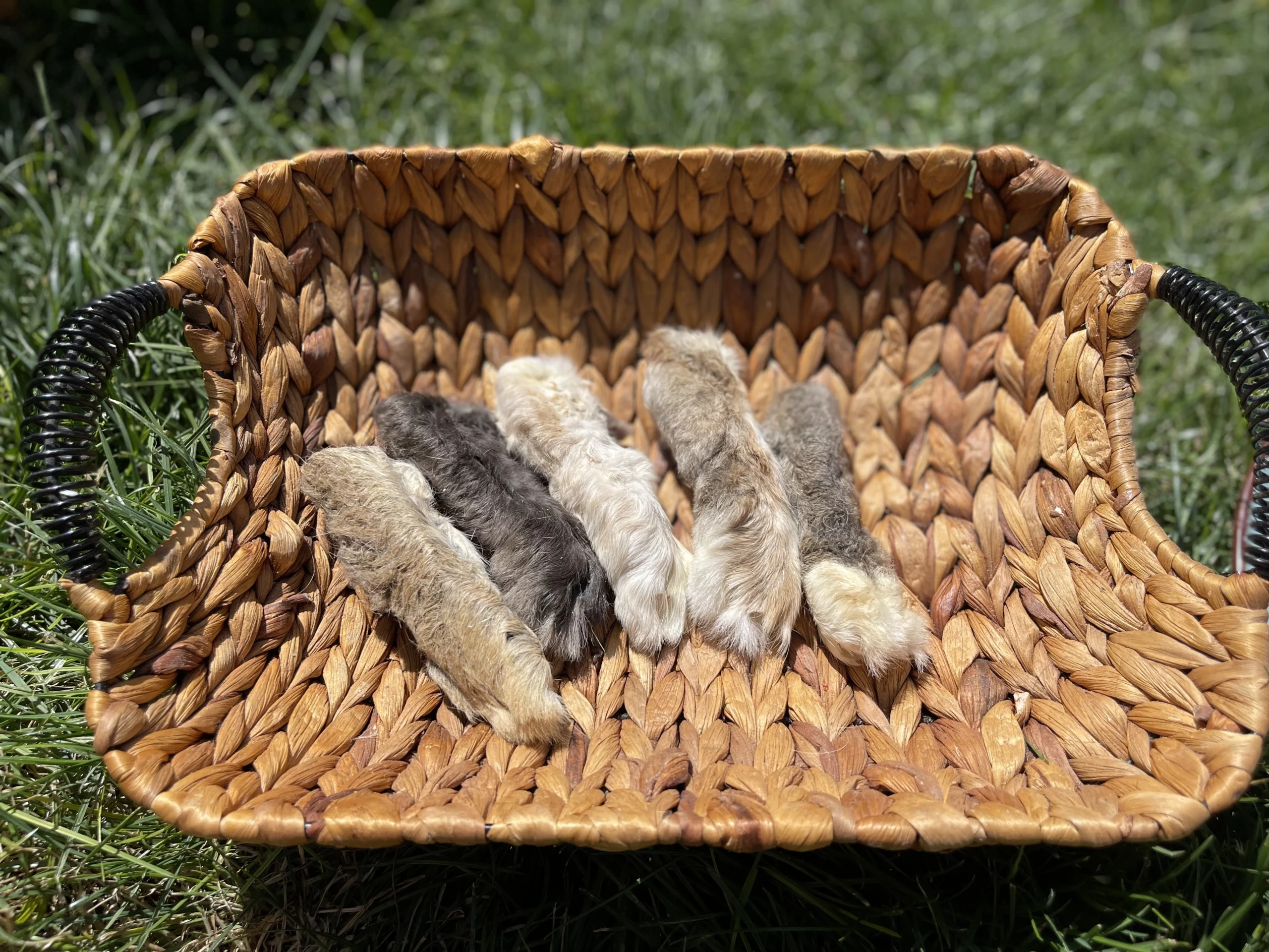 68F8FE0F-B484-426F-9F4F-EE876A8291F4