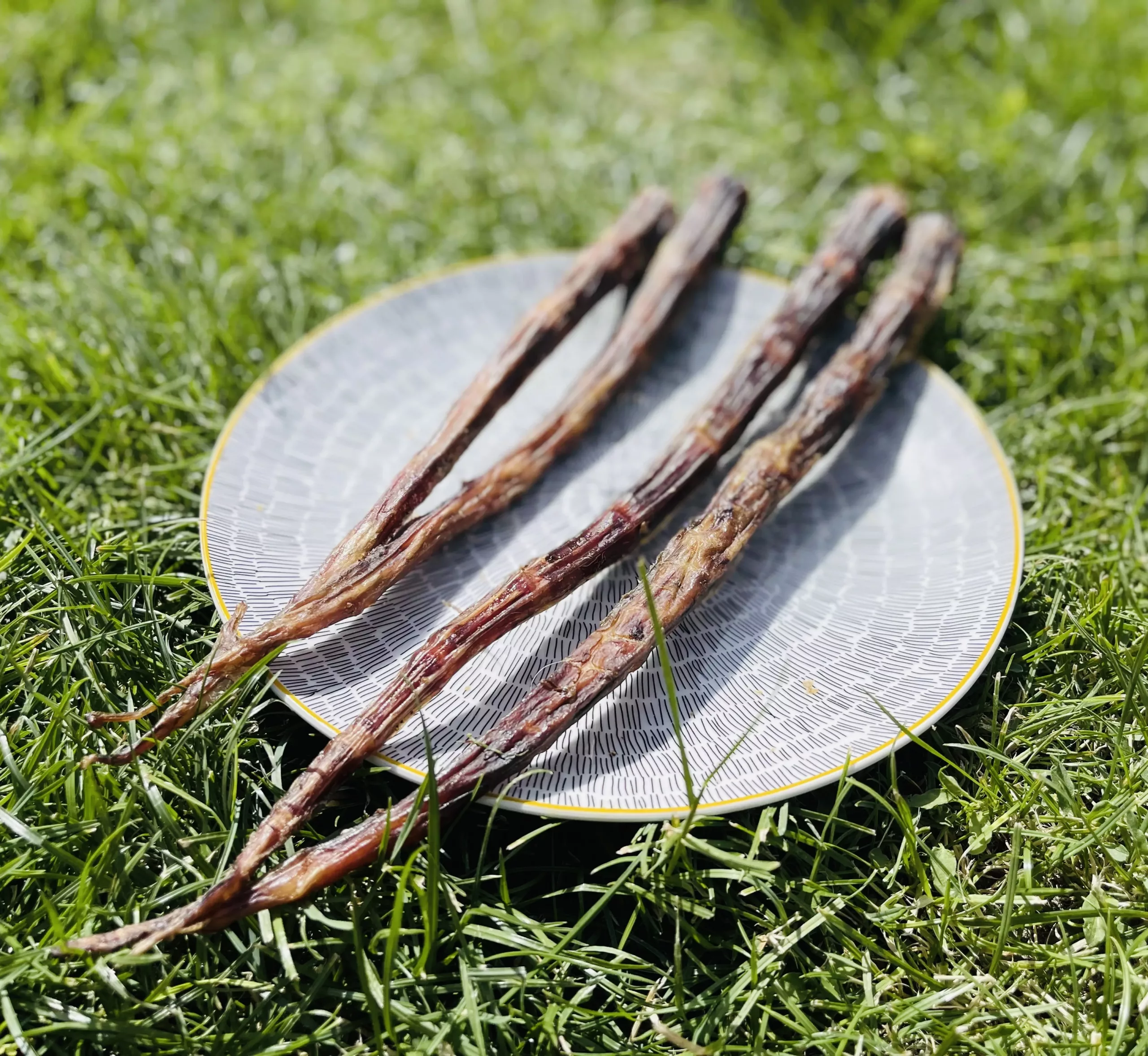 87871D3D-28F1-4AFE-AE4B-ADCC305F1290